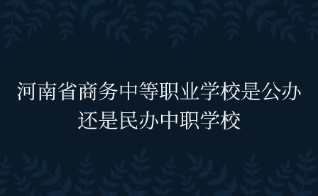 河南省商務中等職業(yè)學校是公辦還是民辦中職學校
